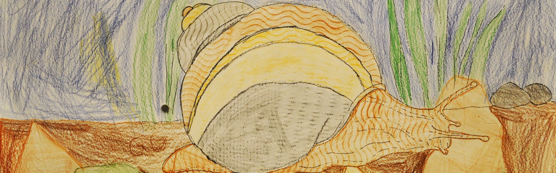 Header Grundschule 005